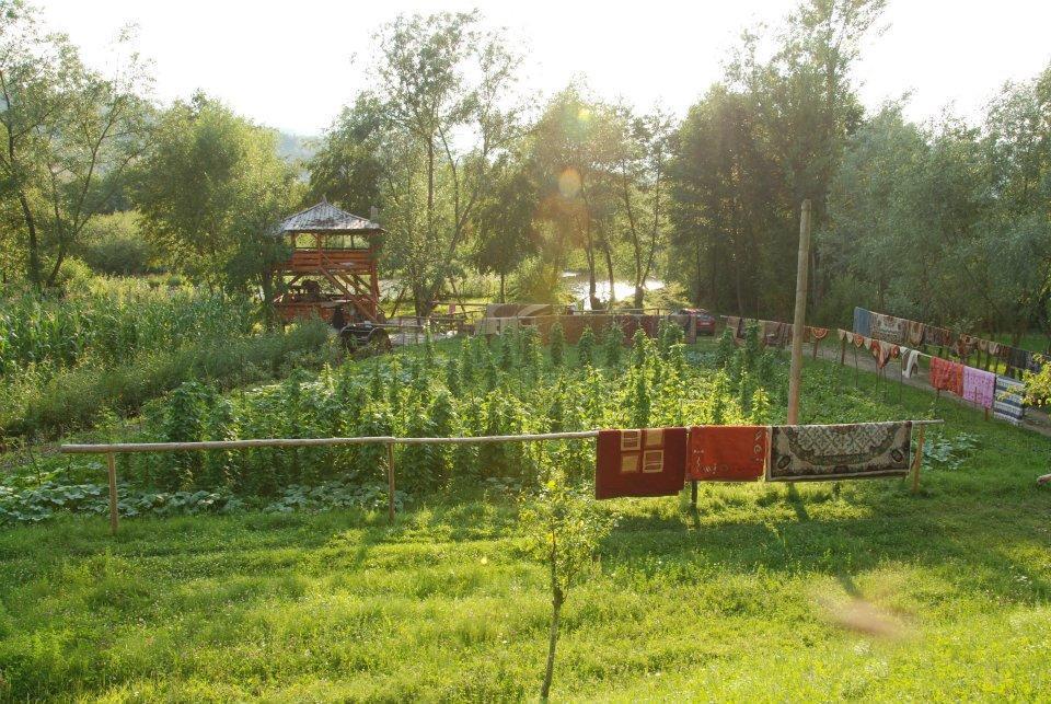 Pensiunea La Gorgan Vadu Izei Luaran gambar