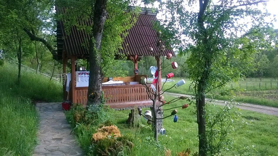 Pensiunea La Gorgan Vadu Izei Luaran gambar