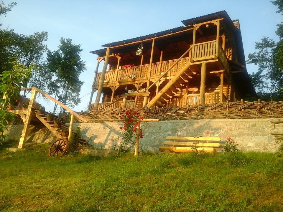 Pensiunea La Gorgan Vadu Izei Luaran gambar